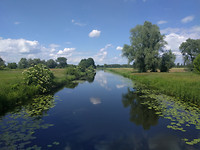 IMG_20170610_150945