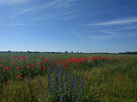 IMG_20170611_100420