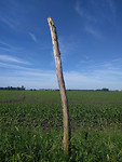 IMG_20170611_101859