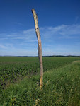 IMG_20170611_101917