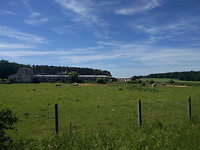 IMG_20170611_104509