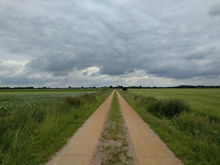IMG_20170613_101214