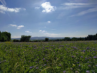 IMG_20170614_104213