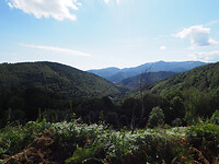 P9120461