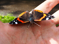 P9150533