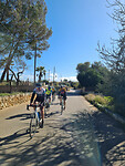 IMG-20240213-WA0007