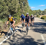 IMG-20240212-WA0000