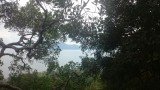 @Bako NP