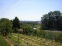 uitzicht rond Bodensee