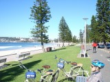 DSC06671- Fietstochtje op Manly