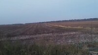 Ochtend in het veld