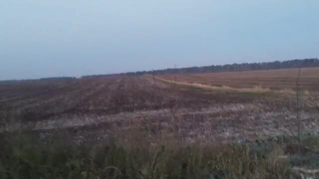 Ochtend in het veld