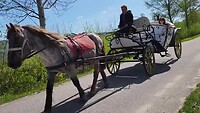 Romantisch rijtuigje