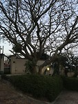 B&B