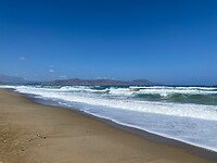 D228D717-850A-469E-9F0D-ECB58A8F72D7