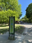 IMG_4884