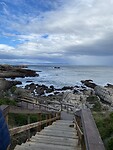 IMG_7871
