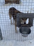 IMG_9529