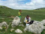 Picknick