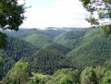 Uitzicht vanuit de caravan