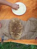 Zelf gebakken brood