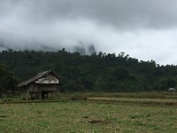 IMG_3601