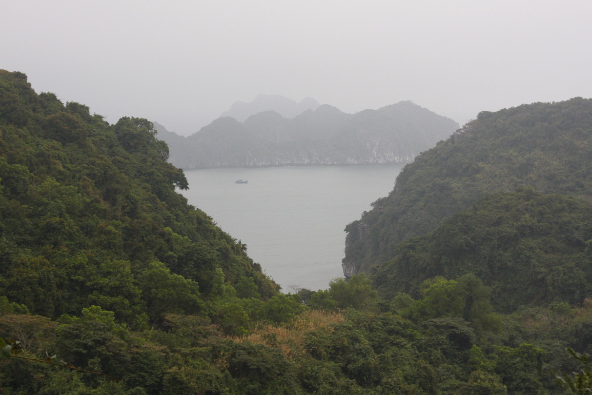 Viewpoint