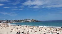 Bondi beach