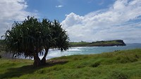 Ballina