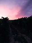 Zonsopgang op Alto de San Antón