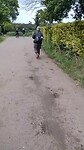 Koffers op trolly