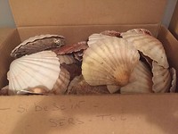 Kijk, de camino geeft je wat je nodig hebt!
