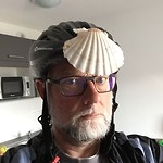 De schelp