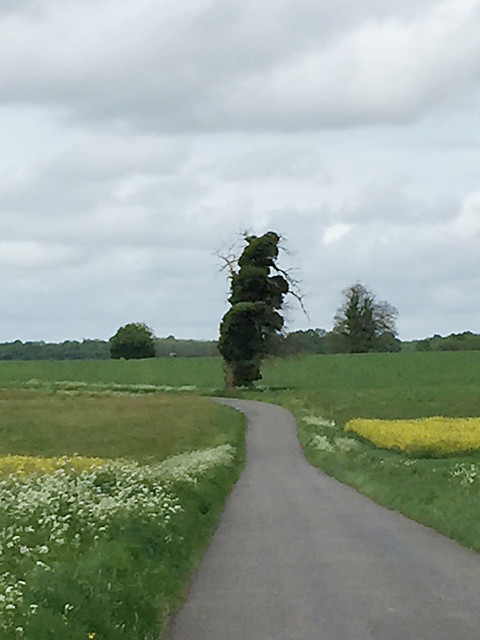 Le Bouchage