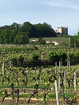 Wijnchateau