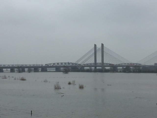 de brug