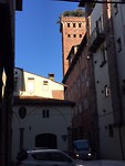 Torre Guinigi (met stokoude eikenbomen bovenop)
