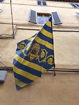 De vlag van mijn 'contrada', de 'Tartuca'