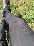 Mijn onderdanen in mijn inmiddels tot de draad versleten fietsbroek
