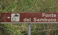 Sambucofontein