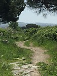 Via Appia Antica, alleen voor locals