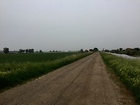 Pontijns polderlandschsp
