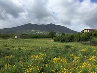 Vanochtend frisse blik op de Vesuvius