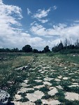 Paestum
