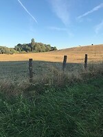 IMG_4343
