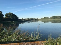 IMG_4345