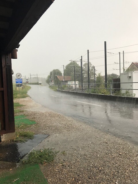Plensbui