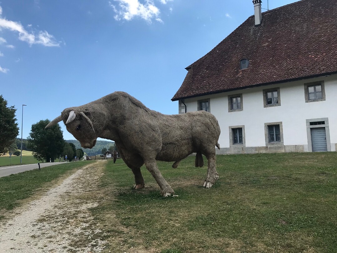 Stier