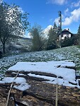 Witte sneeuw, blauwe lucht