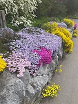 Bloemenpracht